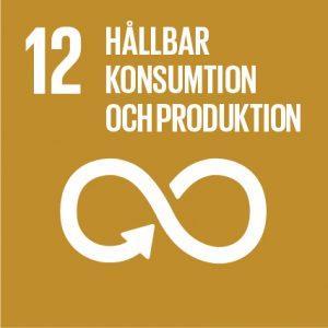 Mål 12 Hållbar konsumtion och produktion Sammanfattning * Hållbar konsumtion och produktion har av OECD identifierats som det mål där Sverige har störst utmaningar.