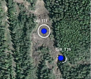 3.4 Kartredovisning 3.4.1 Skapade gölar Göl 11f (nyanlagd, tidigare benämnd ny göl 1) Inga större vattensalamandrar observerades i göl 11f.