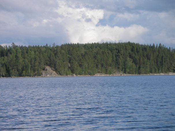 Figur 4. Omgivningarna runt Mycklaflon domineras av barrskog och det finns berg i dagen längs delar av strandlinjen.