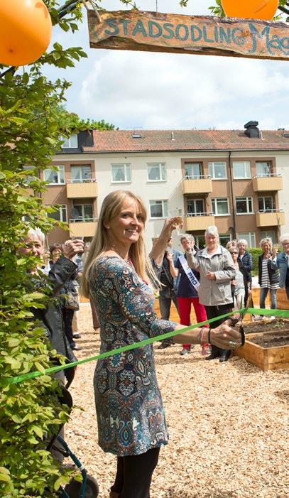 LJURA - EN GRÖNARE STADSDEL Tanken är att successivt omvandla området till Norrköpings nya ekostadsdel Ljura - en grönare stadsdel Nu har pallkrageodlingen, som funnits på Ljura i några år, tagit