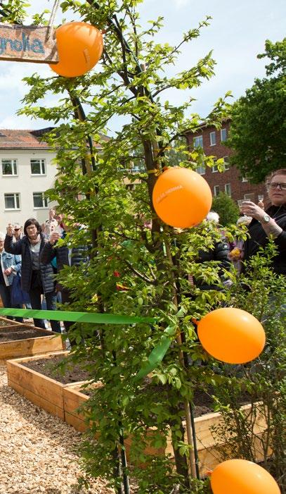 fokus på olika typer av odling, säger Ann-Christine. Hon förklarar det hela som en känsla utöver det vanliga. Med mer bostadsrättskänsla än anonyma hyresrätter.