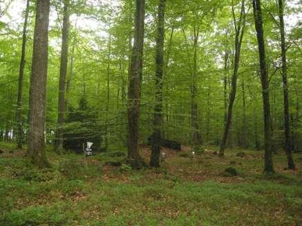 Komperskulla (K 11): Yta med 89-årig bokskog i nordvästra Blekinge.