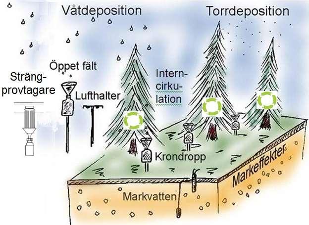 2. Mätningar inom Krondroppsnätet De metoder som används för att mäta lufthalter, deposition samt markvatten illustreras i Figur 3. Figur 3. Principskiss för mätningarna som bedrivs inom Krondroppsnätet.