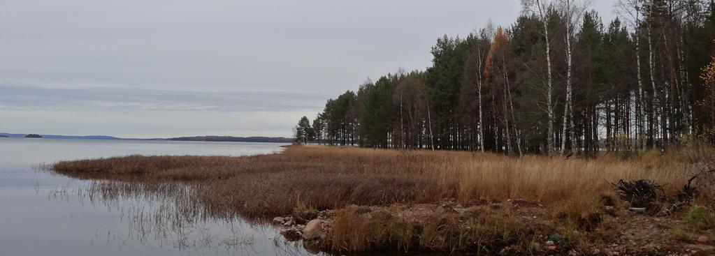 Exploatering är olämplig i områden med höga naturvärden.