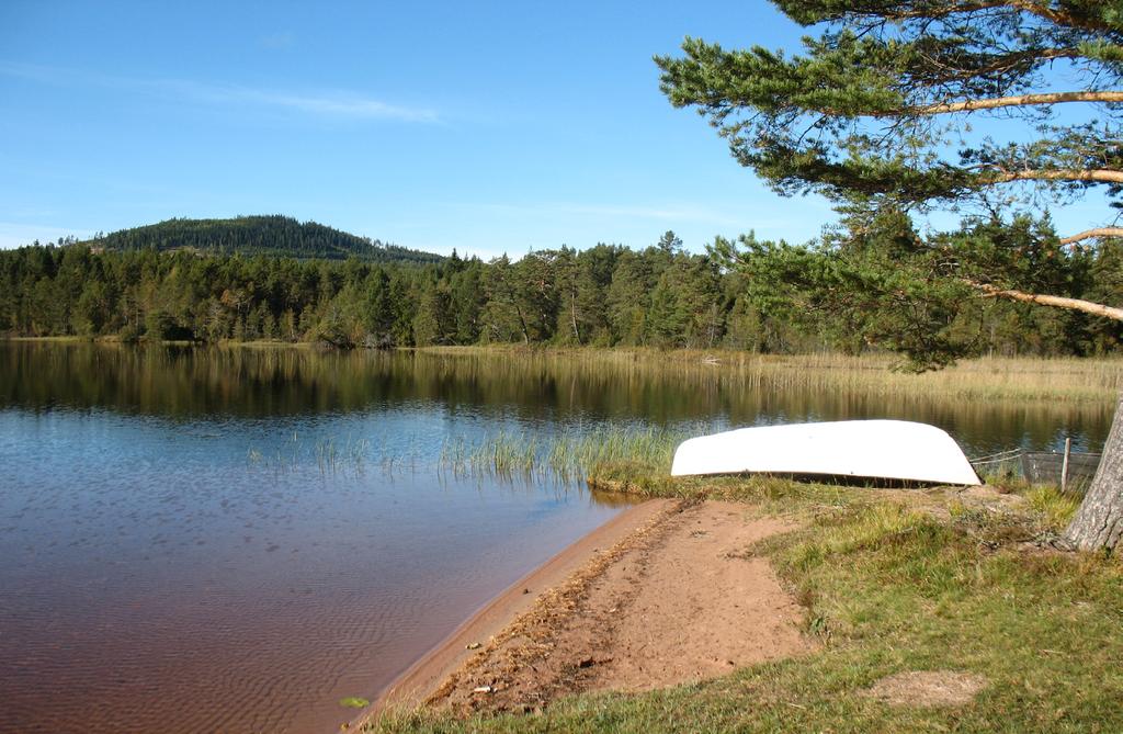2. STRANDSKYDD I Sverige råder generellt strandskydd 100 meter från stranden, både upp på land och ut i vattnet. Strandskyddet finns reglerat i Miljöbalkens 7 kap.