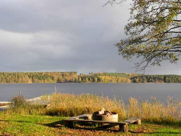 Ällhölen Läge: Cirka 1,5 km sydost om Ringamåla och cirka 2 km öster om Norra Holländarevägen. Avståndet till Svängsta är transportvägen cirka 9 km. Områdesbeskrivning: Sjön har en yta på cirka 64 ha.