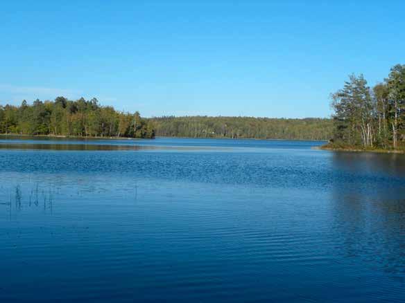 Älmtasjön Läge: Cirka 500 m öster om Riksväg 29. Avståndet till Asarum är transportvägen cirka 12 km.