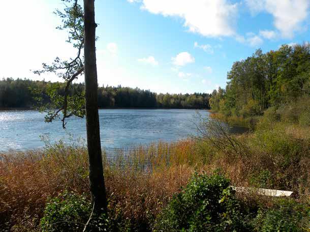 Östra Kroksjön Läge: Cirka 6 km norr om Hällaryd och cirka 2 km väst om Halasjövägen. Avståndet till Hällaryd är transportvägen cirka 8 km. Blekingeleden löper längs sjöns norra sida.