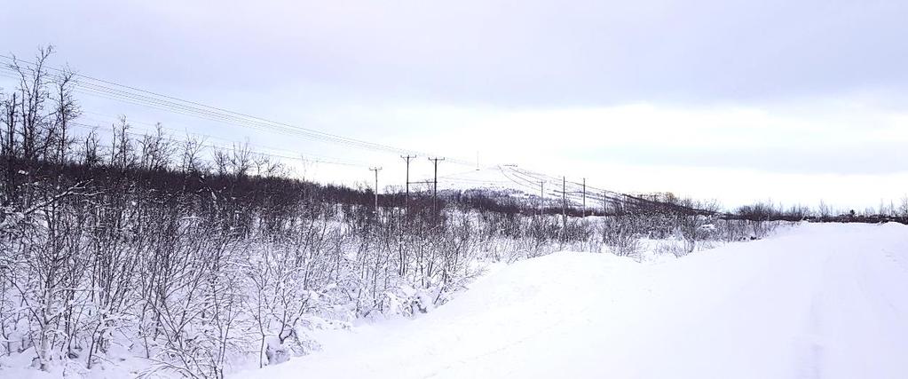 Det finns en vidsträckt utsikt över Kirunavaara, Kiruna stad och fjällvärlden (se framsidan).