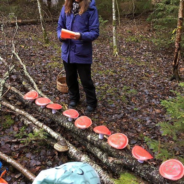 Vi fortsätter läsa i brevet från Hedvig. Nu ska man räkna alla prickar på alla svamparna tillsammans och få ett tal som består av två siffror.