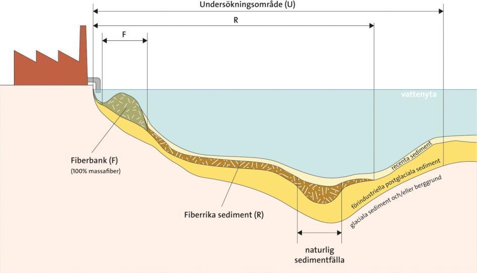 Klassning Fiberrika sediment (R): Sediment, till största delen leror, utblandade med träfibrer.