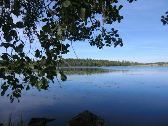 Försäljningssätt Försäljning av fastigheten sker via skriftlig budgivning.