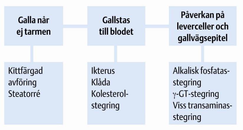 Symtom på