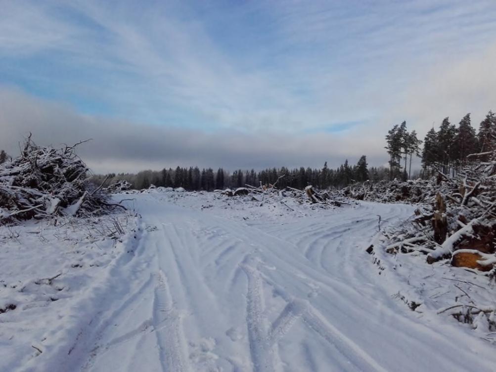 Figur 11. Väg och vändplan invid RAÄ Tidaholm 7. Foto mot väst. Stenmur December 2017 påträffades även en stenmur i nuvarande utredningsområdets norra kant, RAÄ Tidaholm 6.