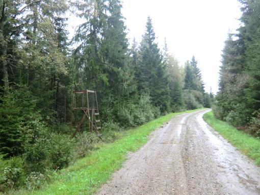 För båda gårdarna gäller att jakträtten tillfaller ny ägare tillsammans med en muntlig upplåtelse om småviltsjakten. Älgjakten ingår i Bringetofta storlicensområde.