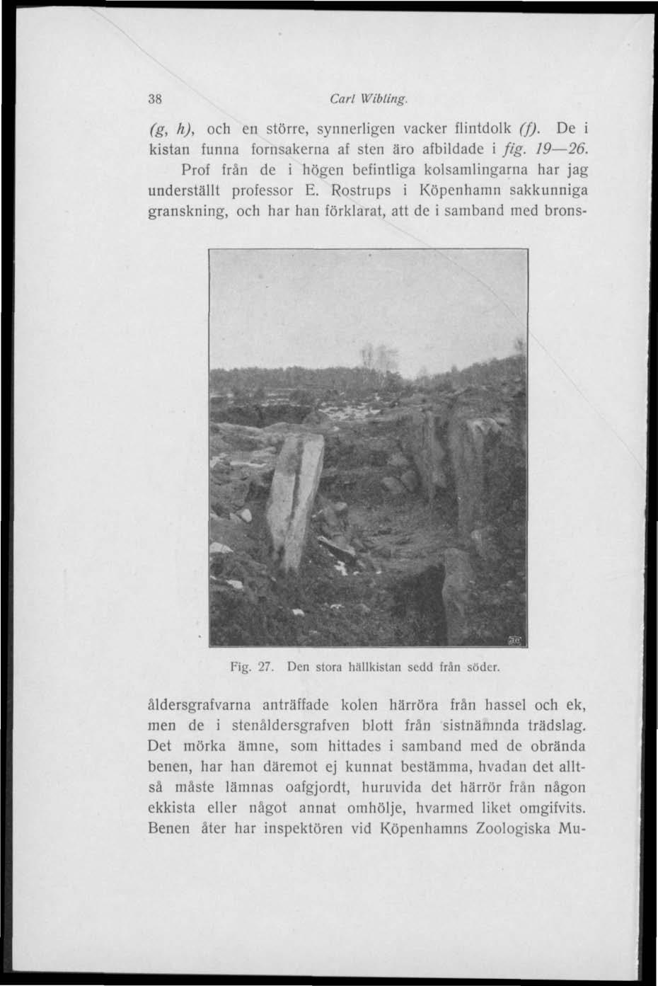 38 Carl Wibling. (g, h), och en större, synnerligen vacker flintdolk (f). De i kistan funna fornsakerna af sten äro afbildade i fig. 19 26.