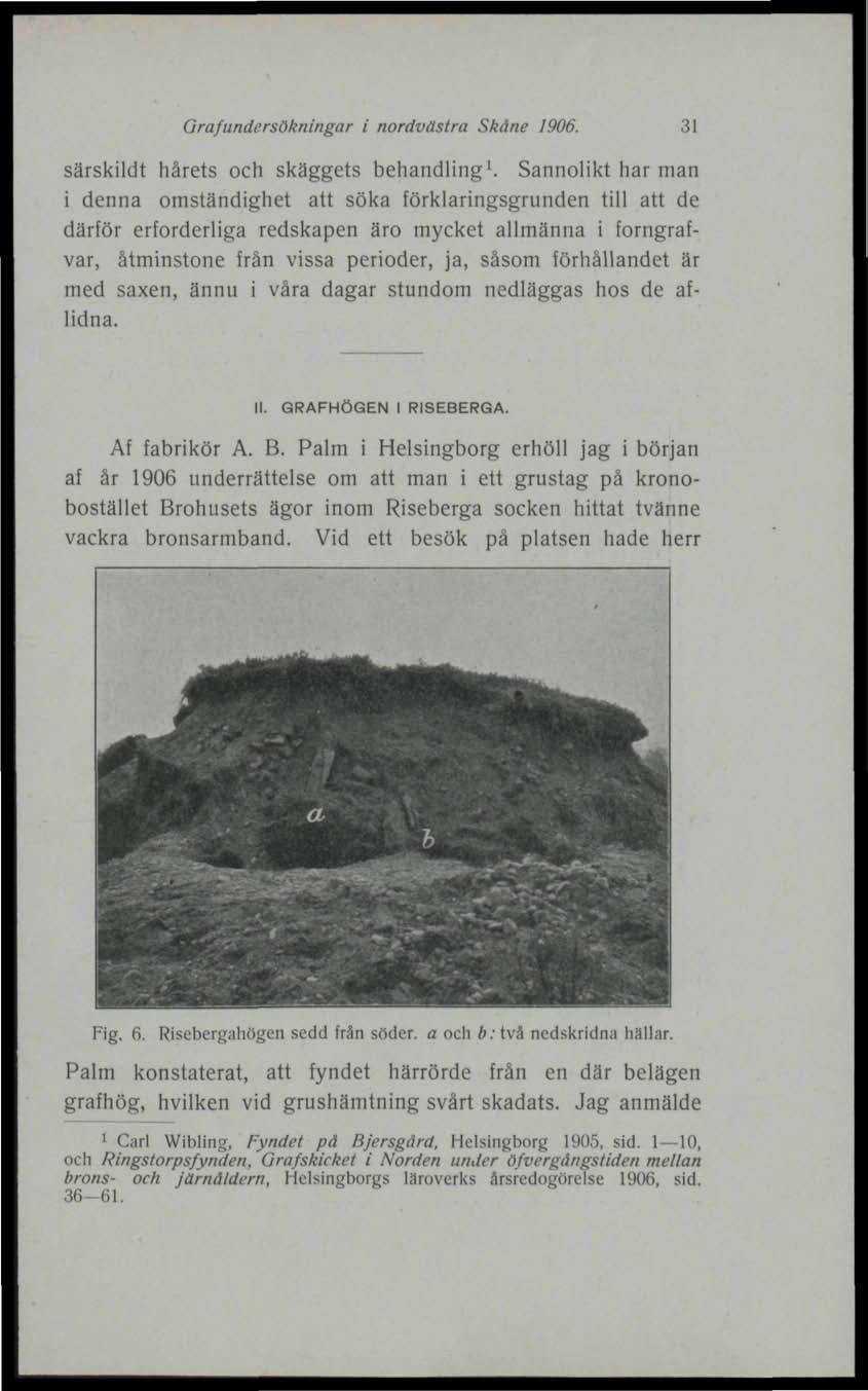 Graf undersökningar i nordvästra Skåne 1906. 31 särskildt hårets och skäggets behandling 1.
