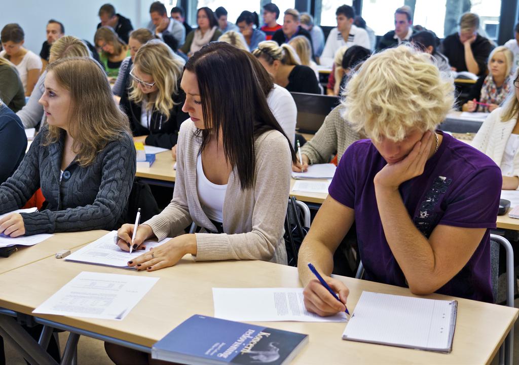 Utbildning på grund- och avancerad nivå Högskolan i Halmstad bedriver utbildningar på grund- och avancerad nivå, såväl professionsutbildningar såsom civilekonomutbildning,