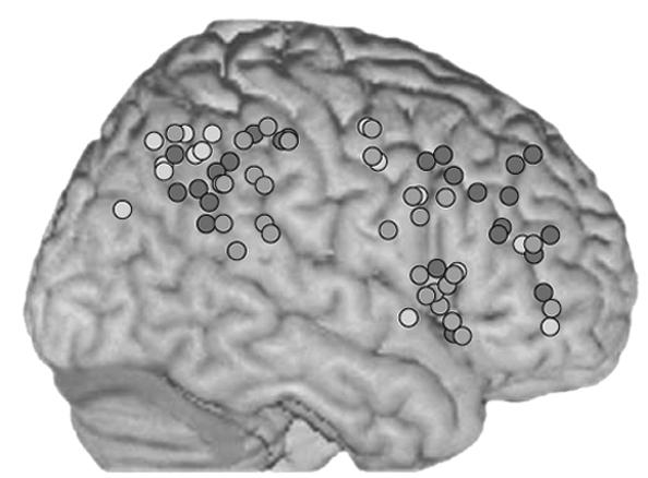 Journal of the International Neuropsychological Society, 8(3), 382-394. Broeren, J., Samuelsson, H., Stibrant-Sunnerhagen, K., Blomstrand, C., & Rydmark, M. (2007).