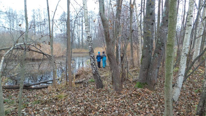 Örebro naturskola klassbesök höstterminen 2018 2 Örebro naturskola Naturens hus ligger som en port till Naturreservatet Oset Rynningeviken, bara några kilometer från centrala Örebro och vid