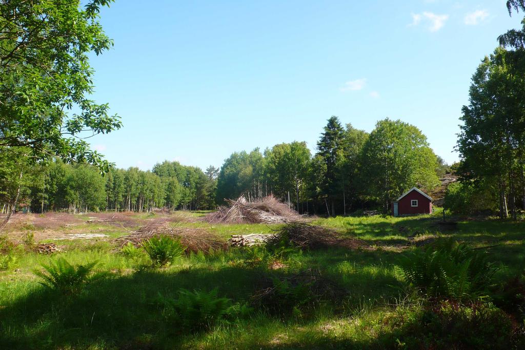 KOMPLETTERANDE INVENTERING OCH ARKIVSTUDIER AV NATURVÄRDEN MED ANLEDNING AV DETALJPLAN ERTSERÖD 1:5 OCH 1:7 med flera Rio Kulturkooperativ har på uppdrag av Sweco och Trivselhus AB gjort en