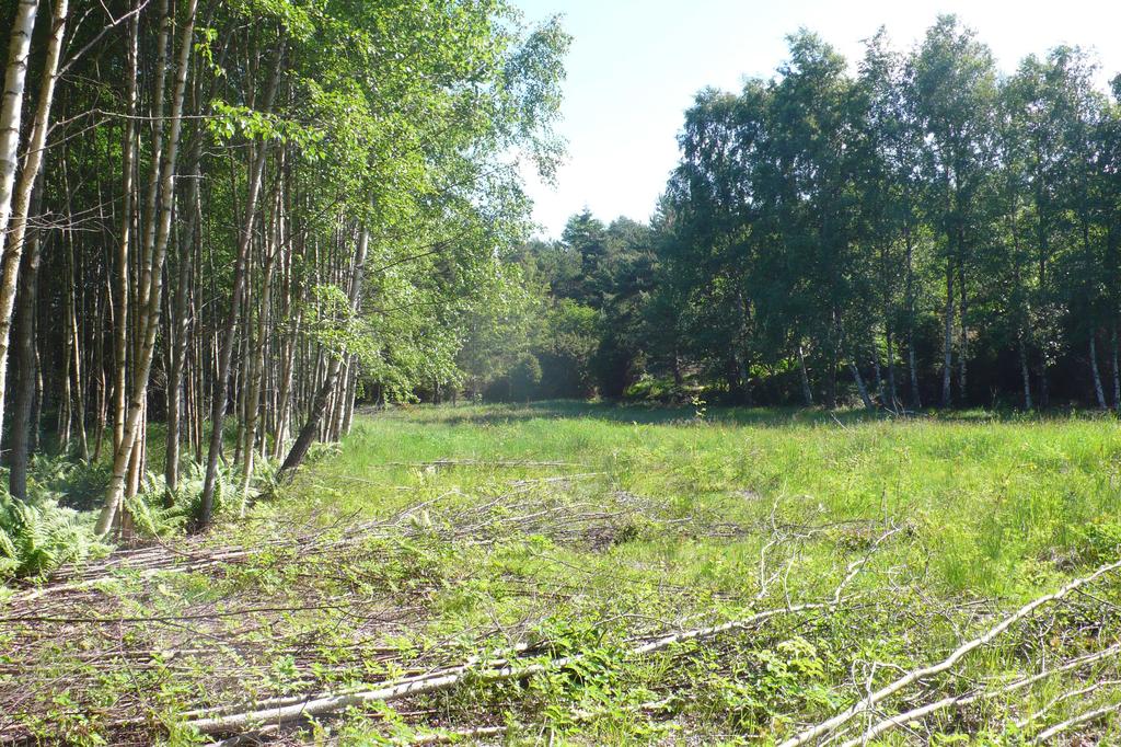 Jordbruksmark Inom utredningsområdet består jordbruksmarken av en mindre obrukad yta som kan ha varit betesmark.