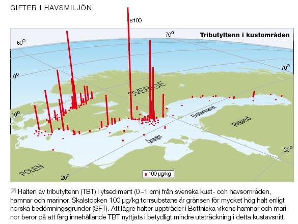 Halten TBT i Marinan var möjligen något högre än i, men långt lägre än den halt som uppmätts i Marinan 25. Provpunkten var nära land detta år.