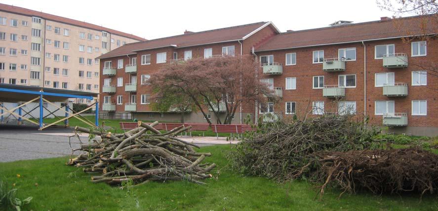 Förutsättningar Läge Planområdet är beläget vid korsningen Bankogatan/Markmyntsgatan, cirka 250 m söder om Axel Dahlströms torg, ca 5,5 kilometer sydväst om Göteborgs centrum.