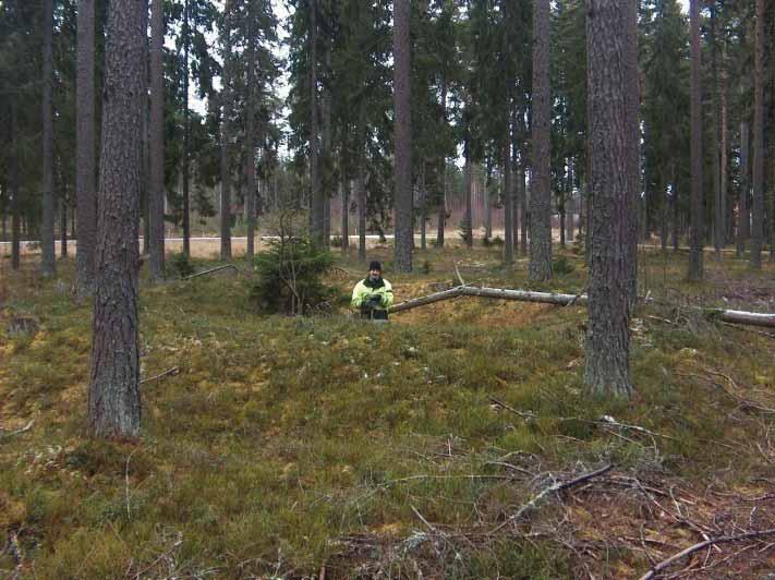 Rapport Länsmuseet Gävleborg 2011:06 STORA KOLNINGSANLÄGGNINGAR Arkeologisk