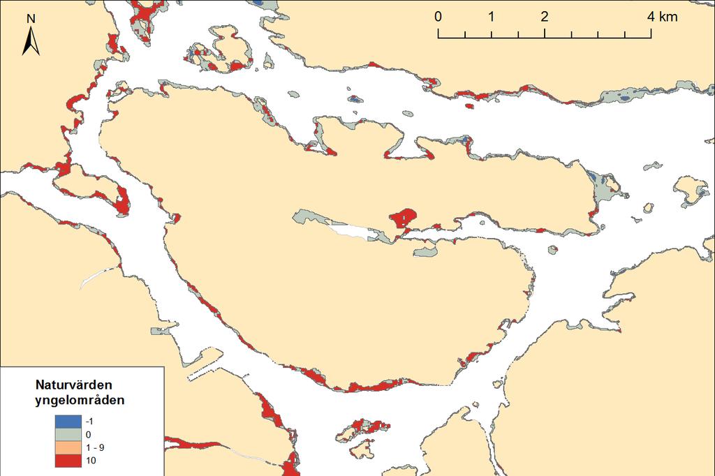 AquaBiota Report 2015:12 Fisk iktiga områden för yngel av rovfisk är rödmarkerade i figuren.