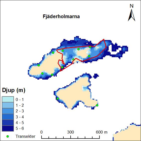 Marin naturvärdesbedömning av Lidingös kustvatten Figur 25. Karta över Fjäderholmarna.