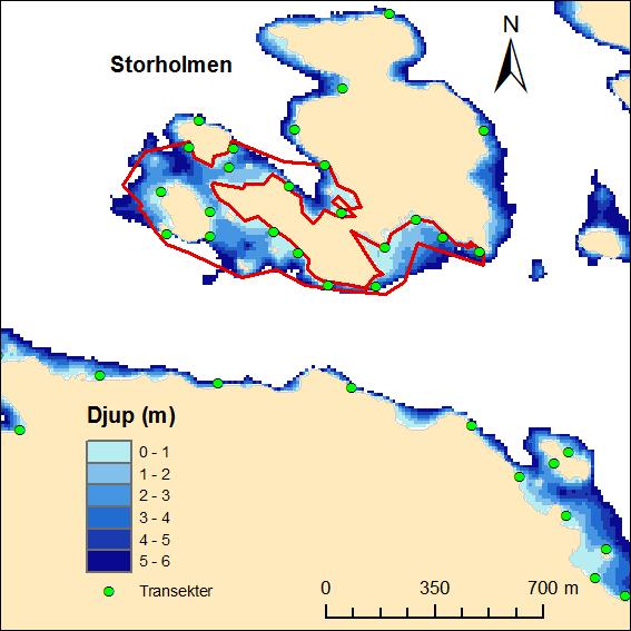 AquaBiota Report 2015:12 Figur 55. Karta över Storholmen.