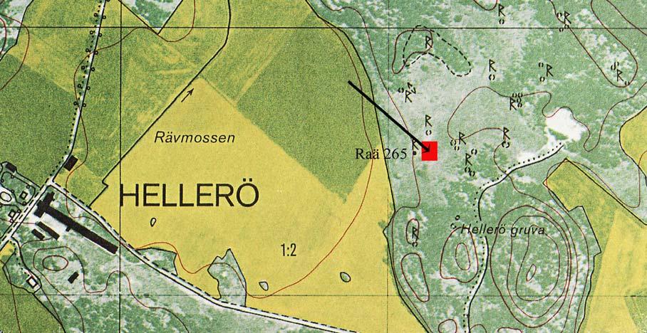 Fig 2. Fornlämningsområdet i Hellerö med den undersökta ytan markerad. Utdrag ur ekonomiska kartan. Skala 1:10000.