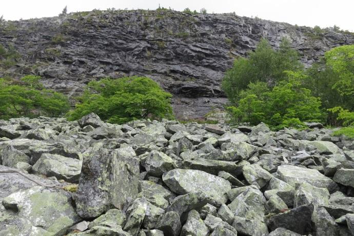 6 / 11 PLANDEL Skötsel och förvaltning av naturreservatets naturvärden Naturreservatet delas in i två skötselområden där A är det botaniskt intressanta sydväxtberg med lodytor och rasbranter som