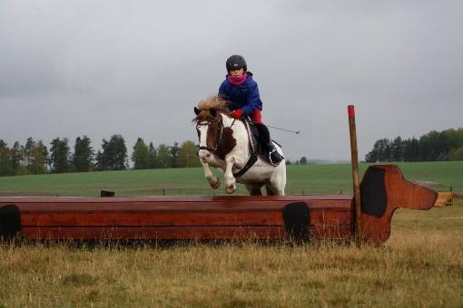 Ryttare som har fälttävlanskort har rätt att bara rida stilbedömningen även om det rekommenderas att alla rider båda omgångarna.