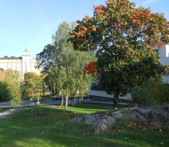 Området utgörs av en gräsbevuxen slänt med en gångväg som löper genom området.