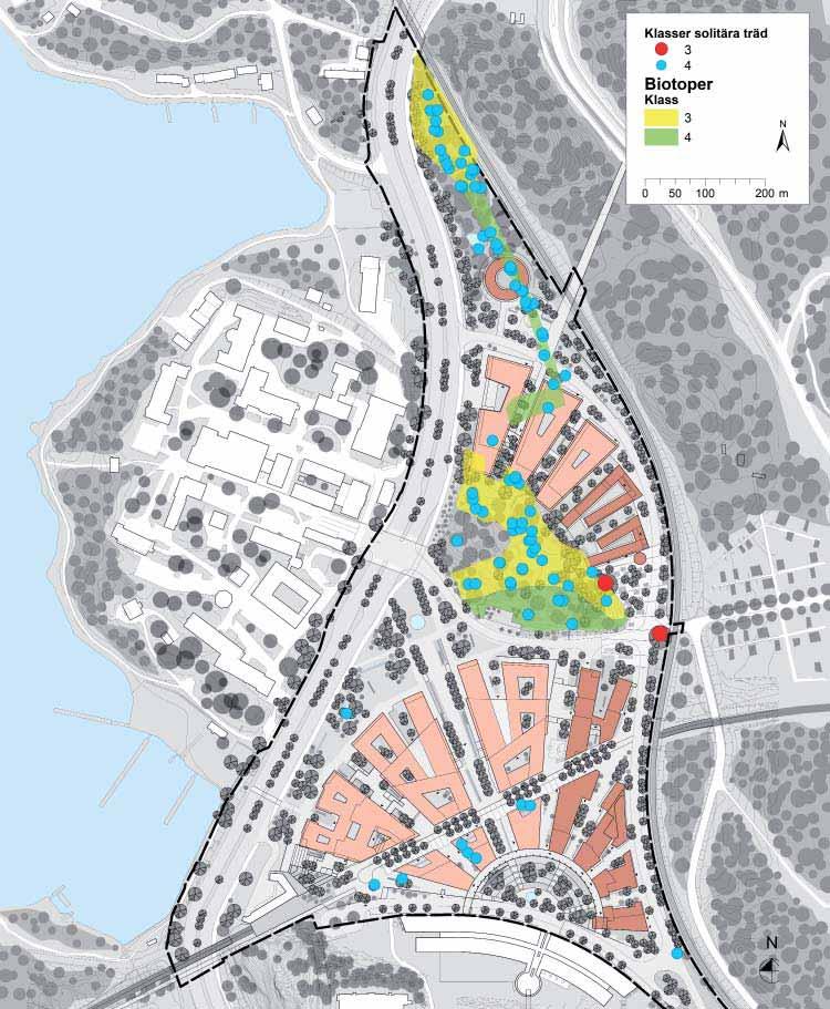 Flera trädinventeringar har gjorts av delar av området, men bedömningarna är mycket olika och från olika år. Dessutom har ett stort antal träd försvunnit sedan dessa inventeringar.