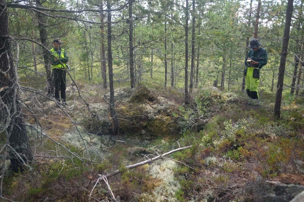 Arkeologisk utredning, Nyskoga socken, Torsby kommun, Värmlands län Kolningslämningar och husgrund på gränsen till Norge Bakgrund Bergvik Skog AB planerar att bygga skogsväg inom fastigheterna Viggen