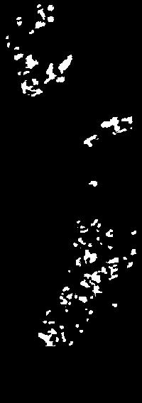 ^' ',, -^.^: &^ ' '^<- -.-.-. '?.- ^r- "^'^ ^ä ^.