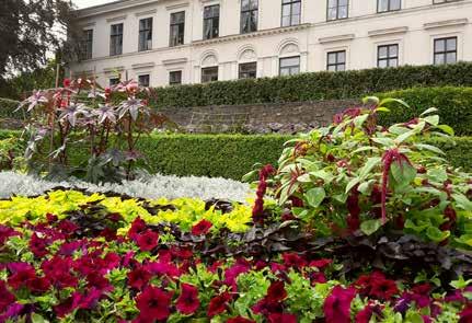 Välkommen till Karlslund I kulturreservatet Karlslund kan du uppleva en anrik historisk miljö med byggnader, trädgård och vacker natur.