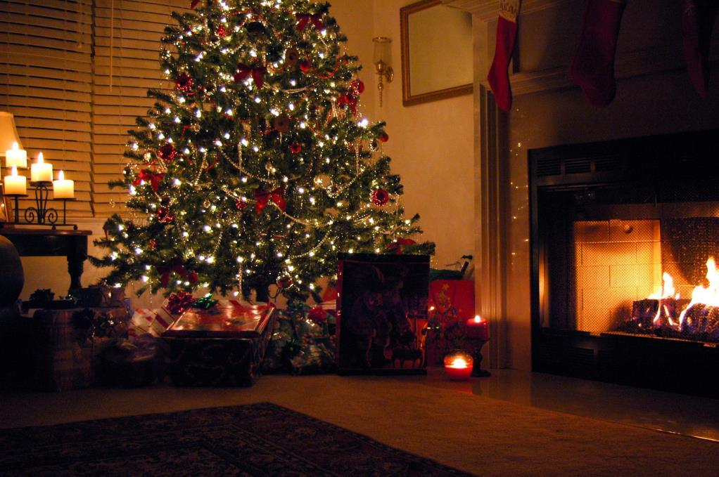 DECEMBER Julfest Söndag 3 december kl.14.00 på Annegården Glad underhållning med smak och doft av julen utlovas.