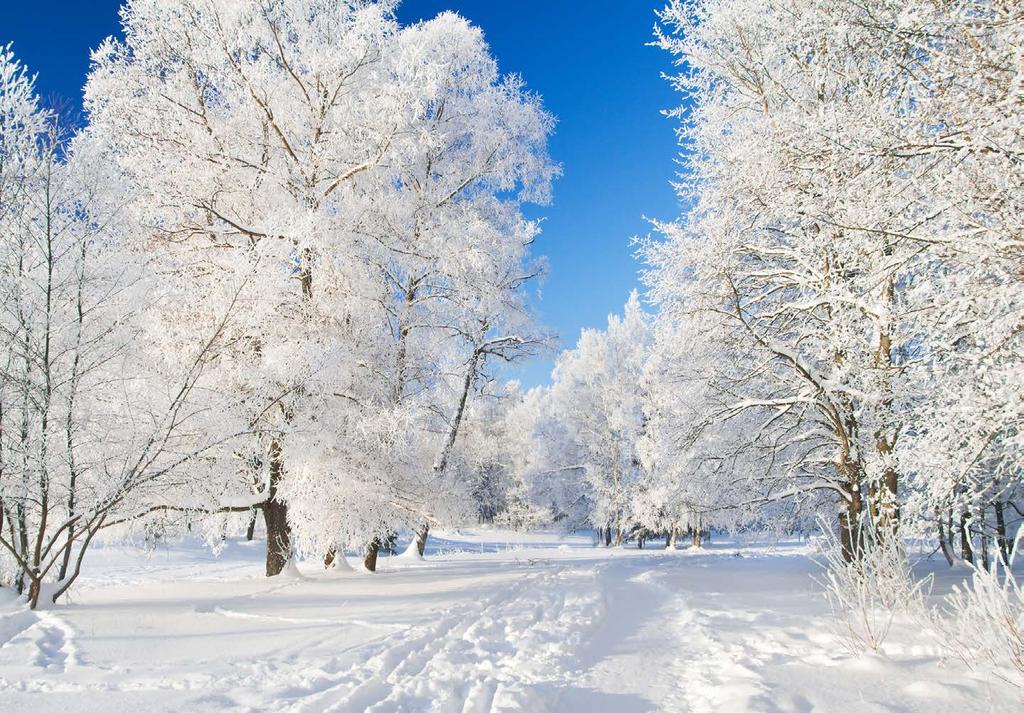 DEPOSITPHOTOS Blodröda och snövita Morgonbön på Strandgården av Anders Einarsson Tvätta er, gör er rena! Ta bort era onda gärningar ur min åsyn.