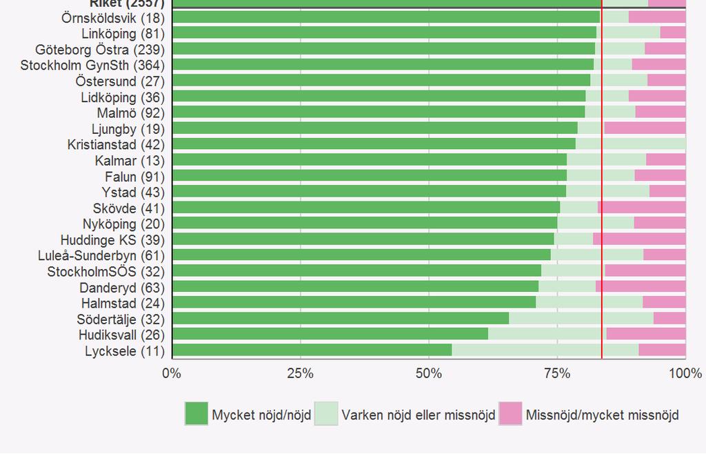 Patientens nöjdhet med resultatet ett år