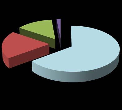 2015 14% 2% 20% 65%