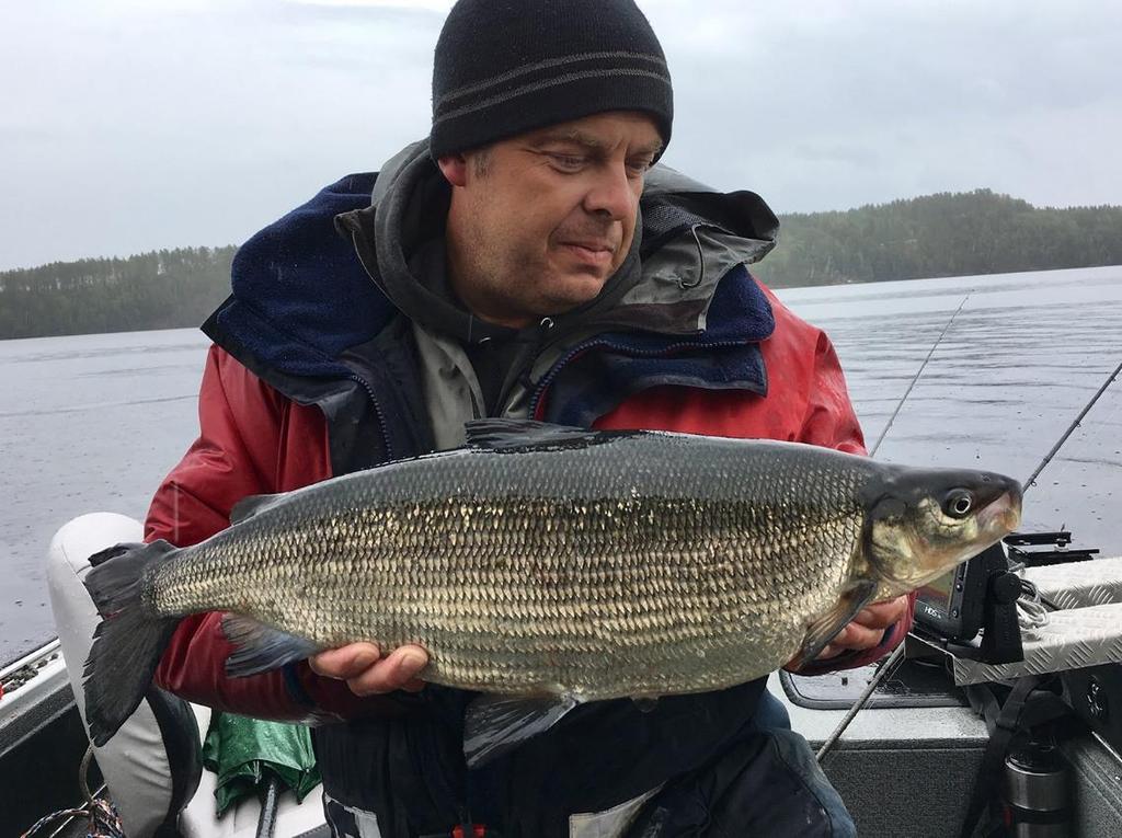 Årets Fisk 218 Jerker Löfs sik på enorma 449g blir årets fisk.