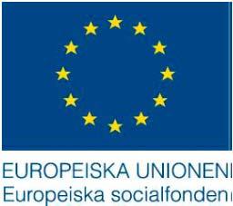 Förbundets uppgift är att verka för samarbete över kommungränserna och vara ett forum för idé och erfarenhetsutbyte regionen. GR är även en stor aktör vad gäller EU finansierade projekt.