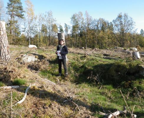 Bjärke Bjärke Övre Jordala (64) Beskrivning av kulturmiljön Fornlämningsmiljön består av fem hällkistor, två