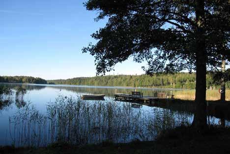 I den östra delen finns vidsträckta skogar som till delar ingår i Bredvikshults häradsallmänning, vilken sedan fortsätter in i Vårgårda kommun.