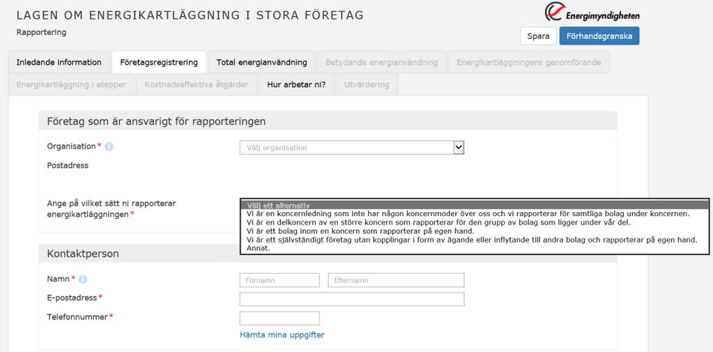 Datum 7 (39) Här ska uppgifter om det företag som är ansvarigt för rapporteringen, uppgifter om kontaktperson, vilka företag som omfattas av rapporteringen samt uppgifter om företagen som omfattas av