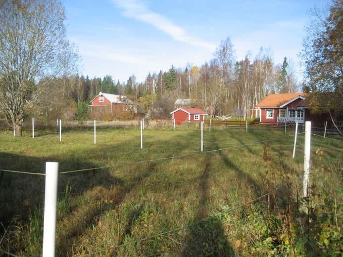 Vad innebär ett hästnära boende?
